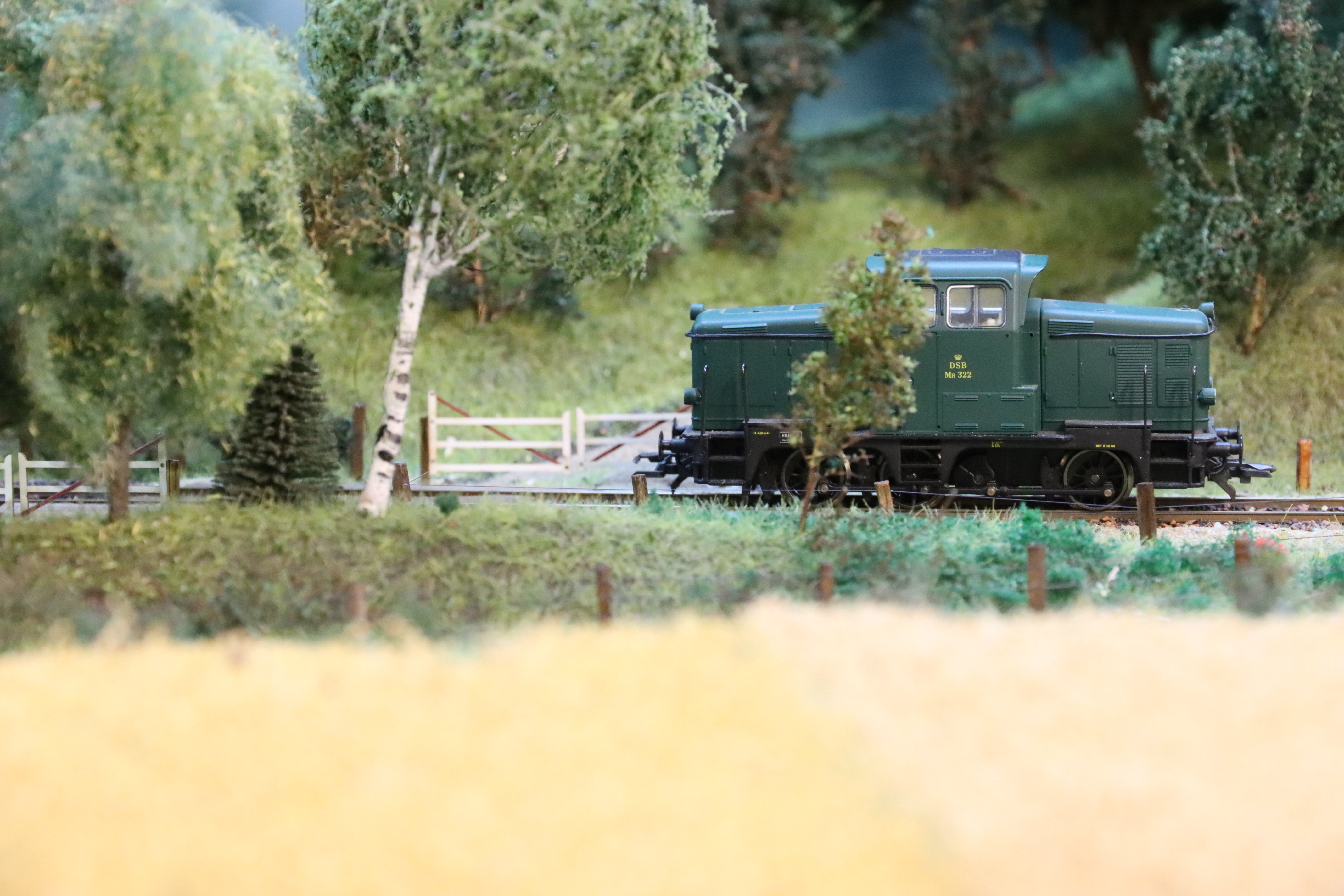 20240227_AntonTvermose_7591